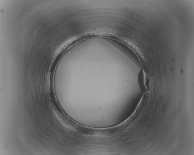 X0000084030678200703022123