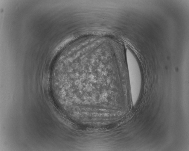 X0000084030679200703022123