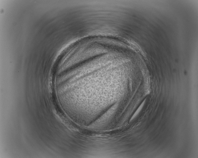 X0000084030680200703022123