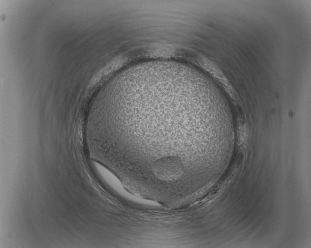 X0000084030681200703022123