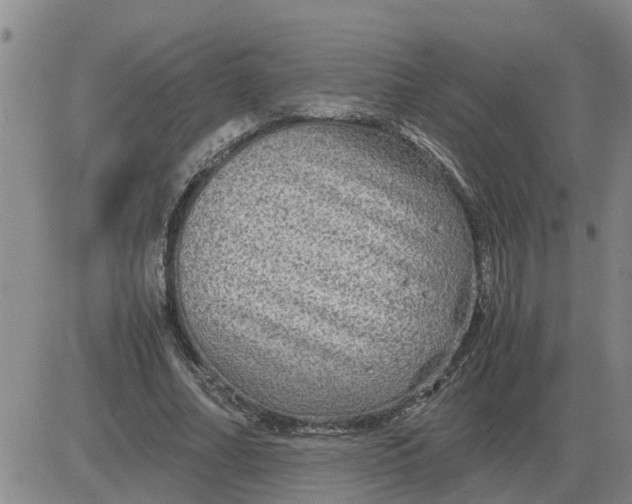 X0000084030682200703022123