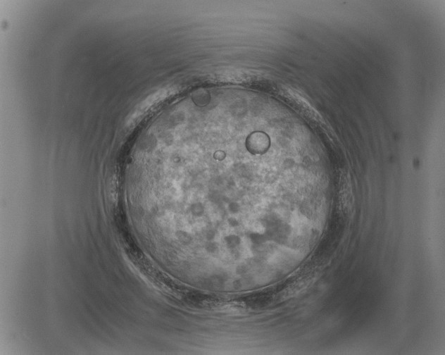 X0000084030683200703022123