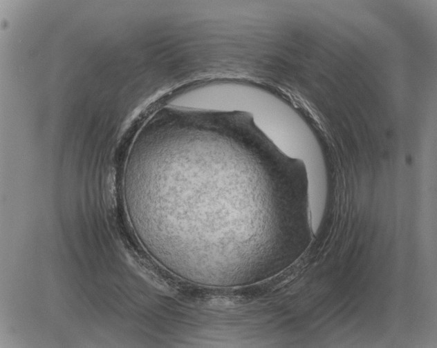 X0000084030684200703022123