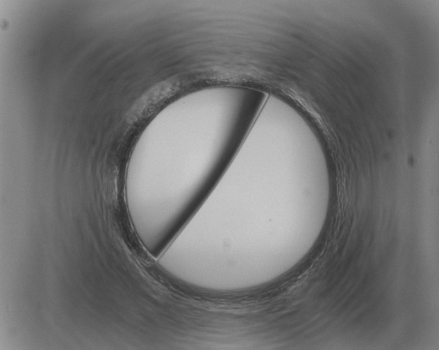 X0000084030685200703022123