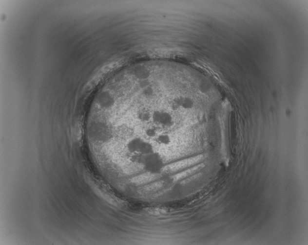 X0000084030687200703022123