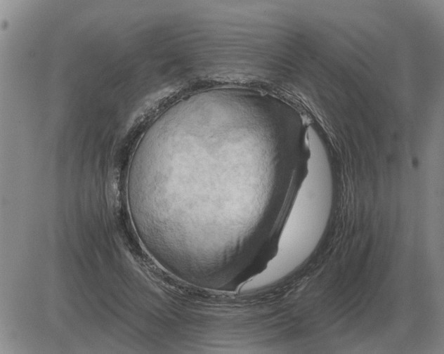 X0000084030688200703022123