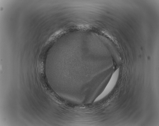 X0000084030689200703022123