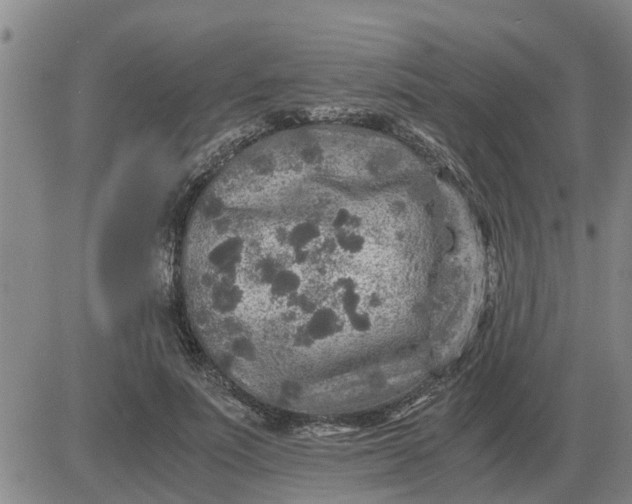 X0000084030691200703022123