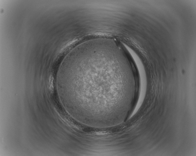 X0000084030692200703022123