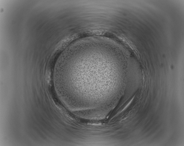 X0000084030693200703022123