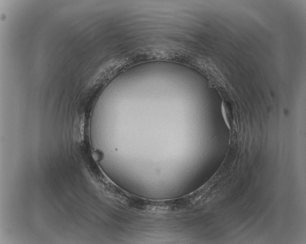 X0000084030694200703022123