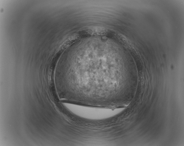 X0000084030695200703022123