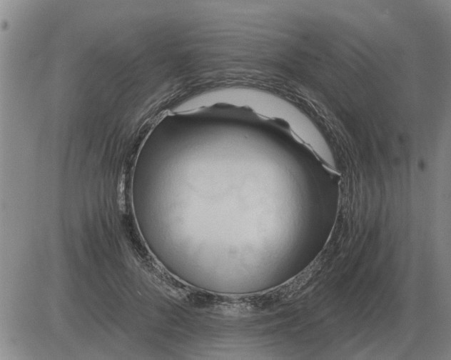 X0000084030696200703022123