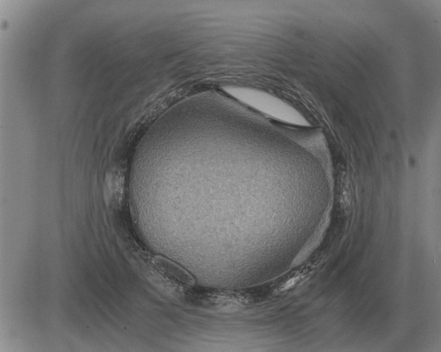 X0000084030697200703022123