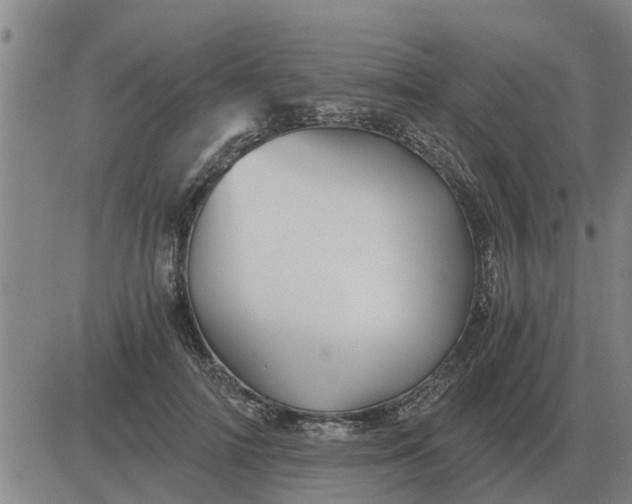 X0000084030698200703022123