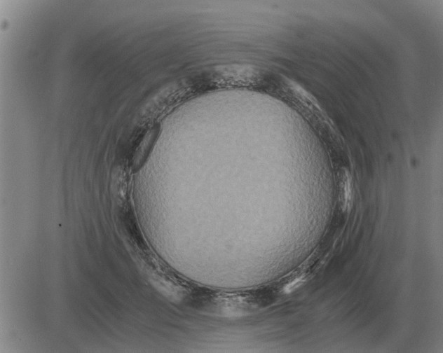 X0000084030701200703022123