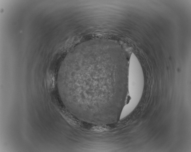 X0000084030703200703022123