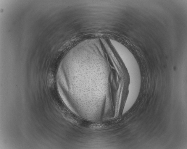 X0000084030704200703022123