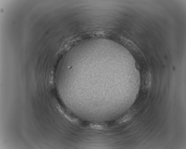 X0000084030706200703022123