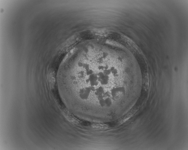 X0000084030707200703022123