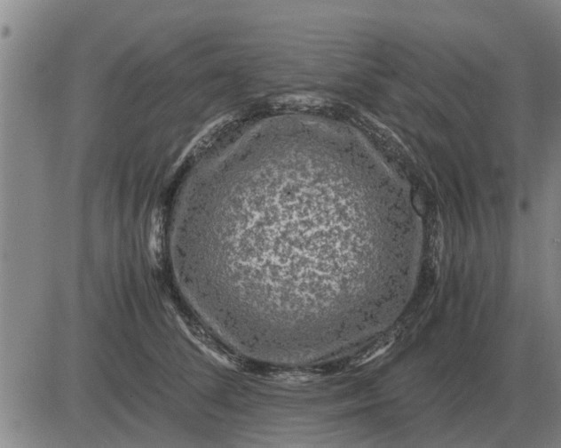 X0000084030708200703022123