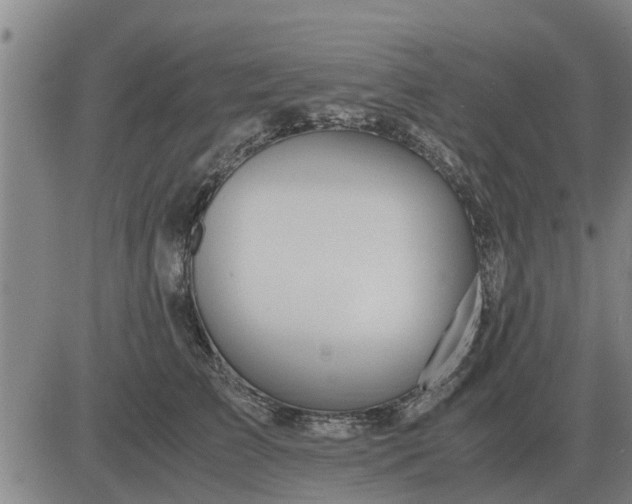 X0000084030709200703022123