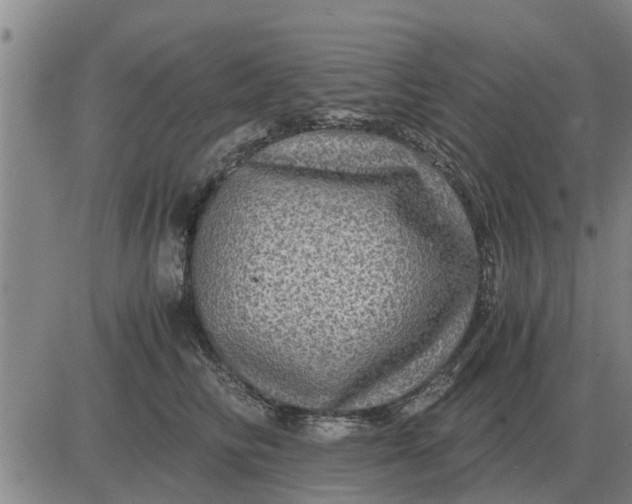 X0000084030710200703022123