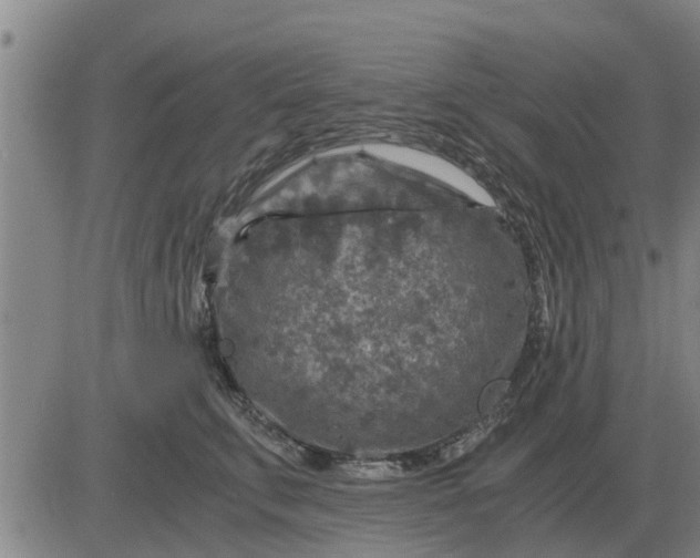 X0000084030711200703022123