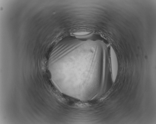 X0000084030712200703022123