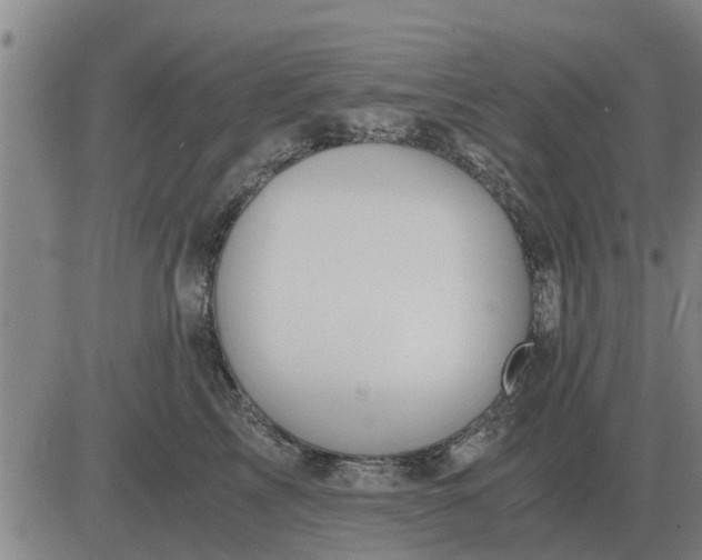 X0000084030713200703022123