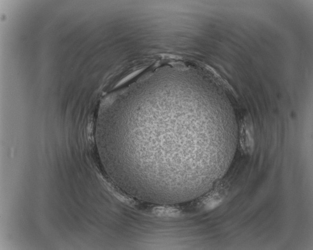 X0000084030714200703022123