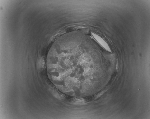 X0000084030715200703022123