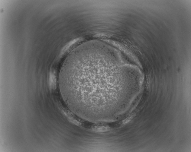 X0000084030716200703022123