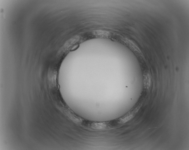 X0000084030717200703022122