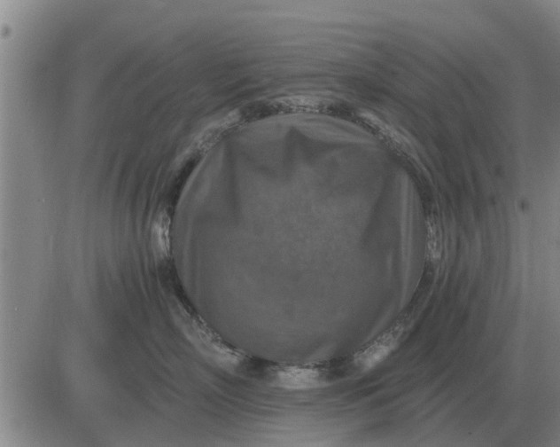 X0000084030718200703022122