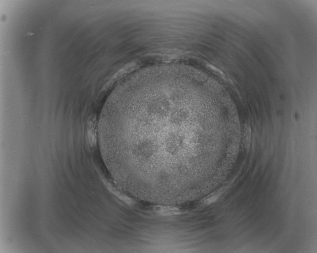 X0000084030719200703022122