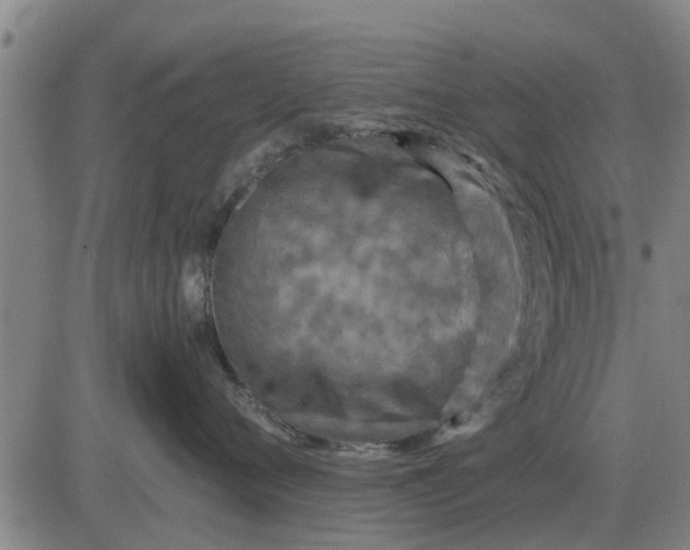 X0000084030720200703022122