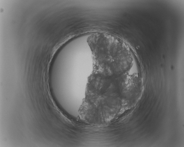 X0000084030721200703022122