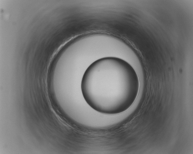 X0000084030722200703022122