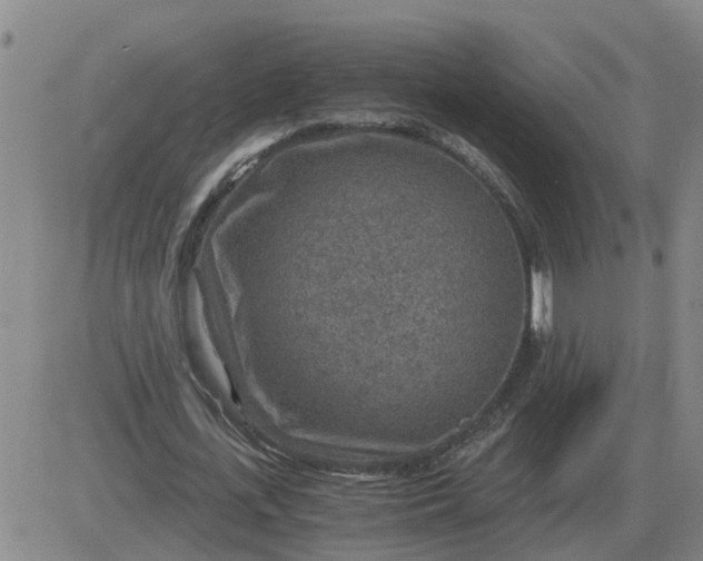 X0000084030723200703022122