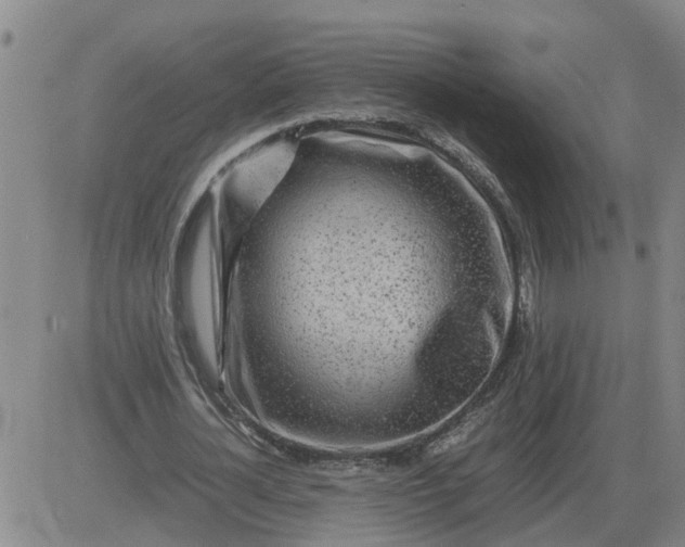 X0000084030724200703022122