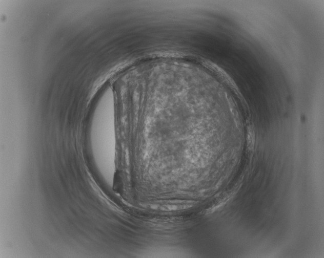 X0000084030725200703022122