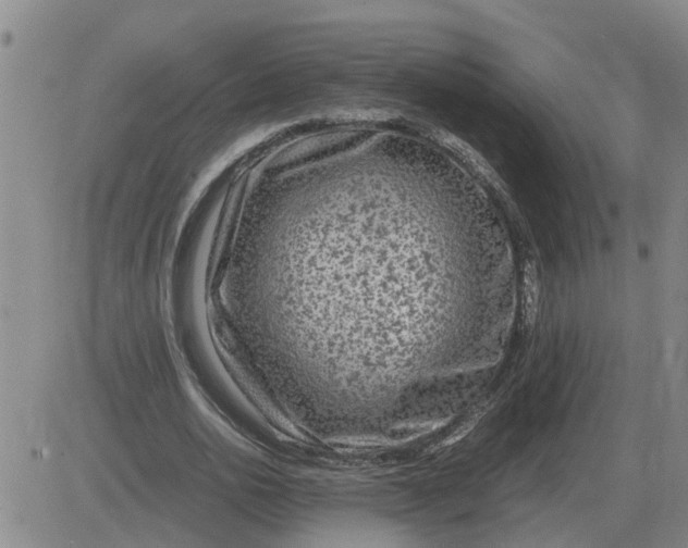 X0000084030726200703022122