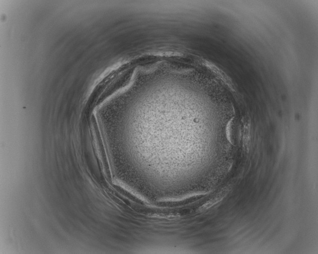 X0000084030727200703022122