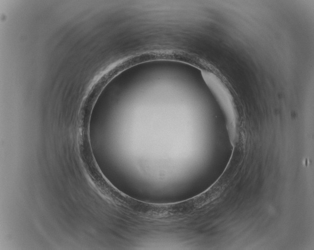 X0000084030728200703022122