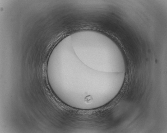 X0000084030729200703022122