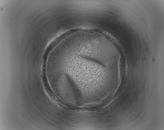 X0000084030730200703022122