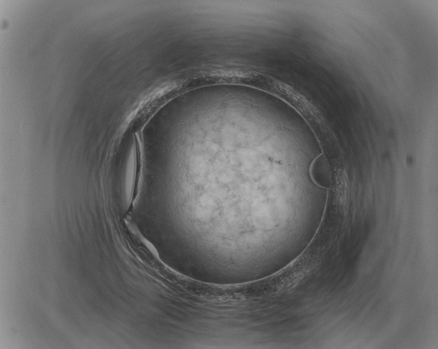 X0000084030731200703022122