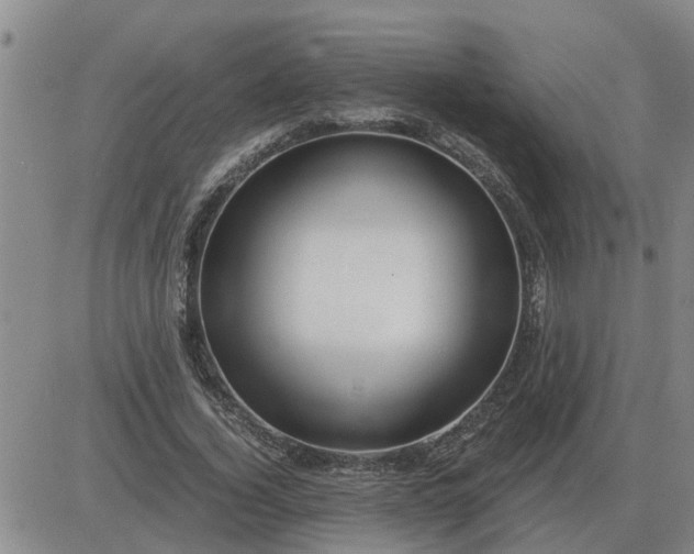 X0000084030732200703022122