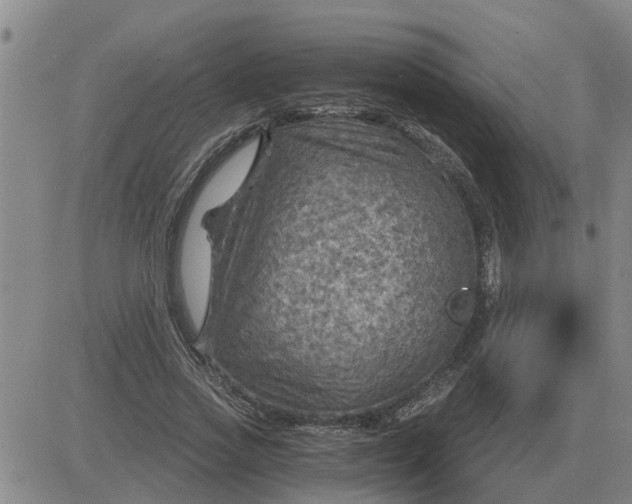 X0000084030733200703022122